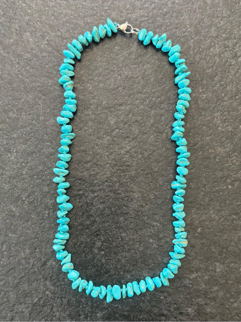 NWOT Tuckernuck Turquoise Chip Necklace